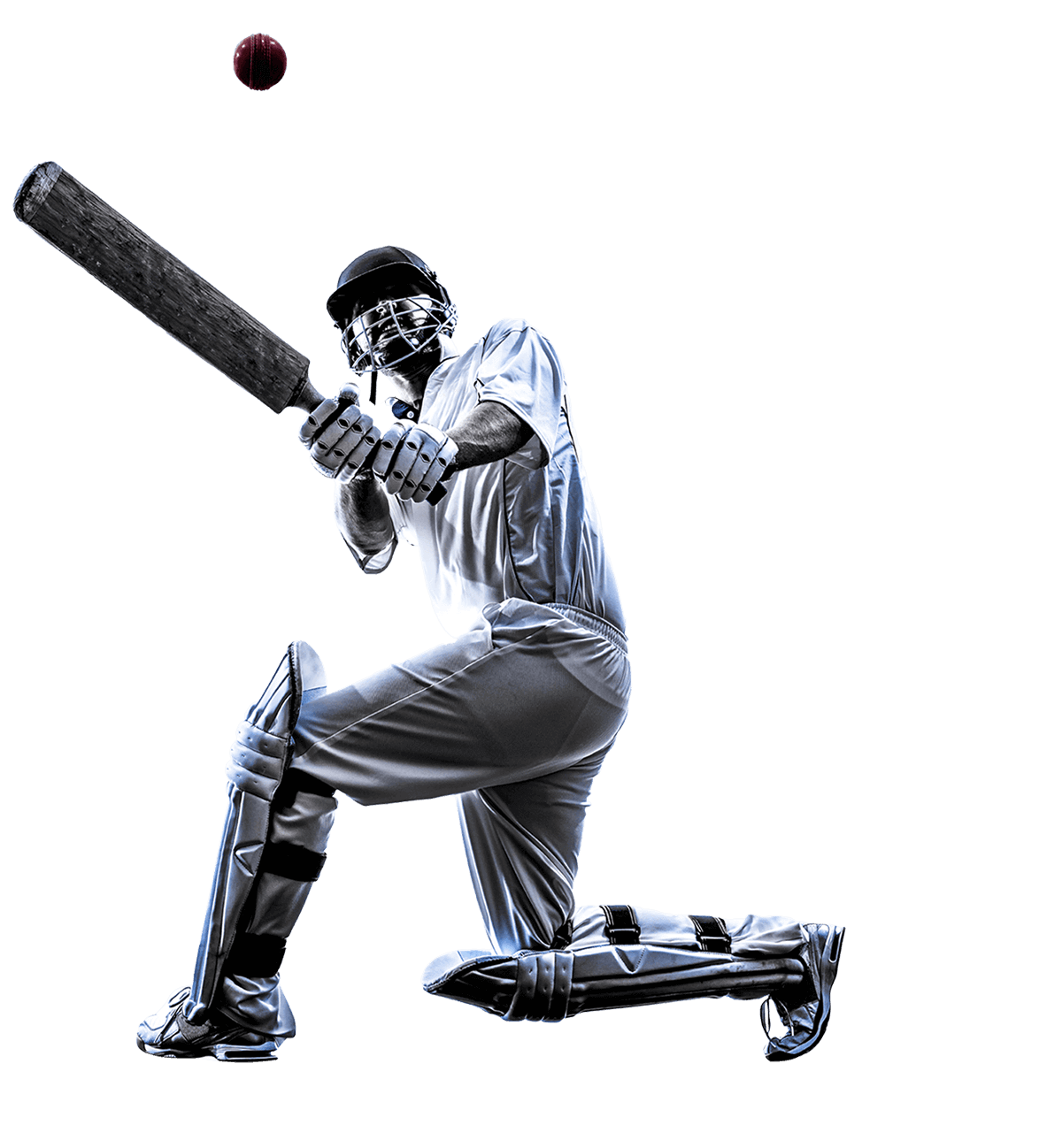  Live Casino Cricket Betting